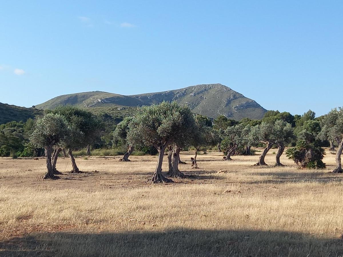 Apartmán El Nido De Betlem Colònia de Sant Pere Exteriér fotografie