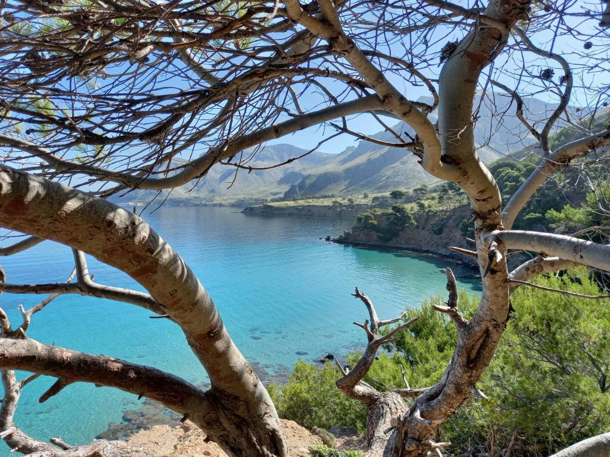Apartmán El Nido De Betlem Colònia de Sant Pere Exteriér fotografie